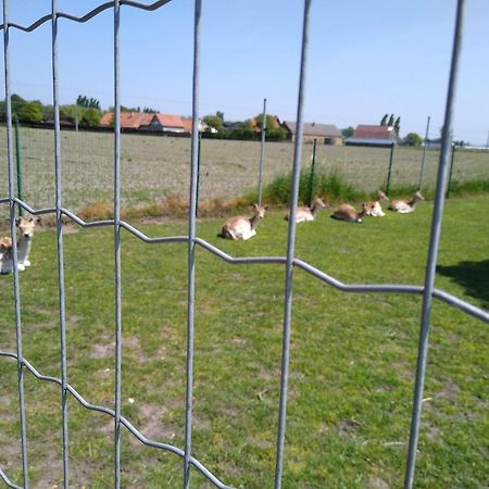De Lekkermond Vendégház Diksmuide Kültér fotó