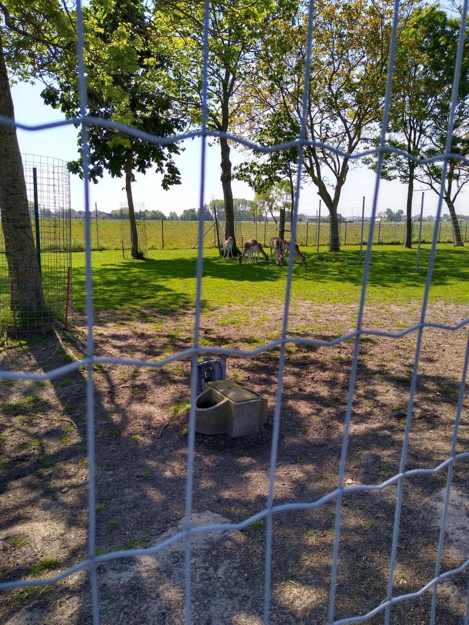 De Lekkermond Vendégház Diksmuide Kültér fotó